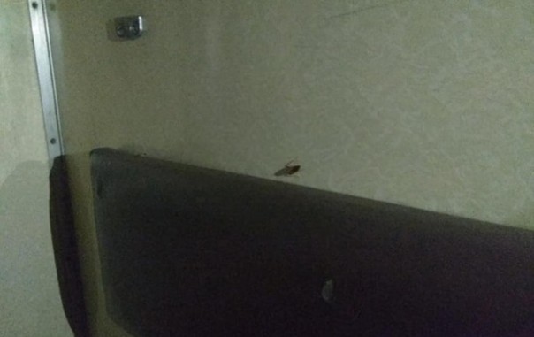 Тараканьи бега в вагоне "Укрзализныци"