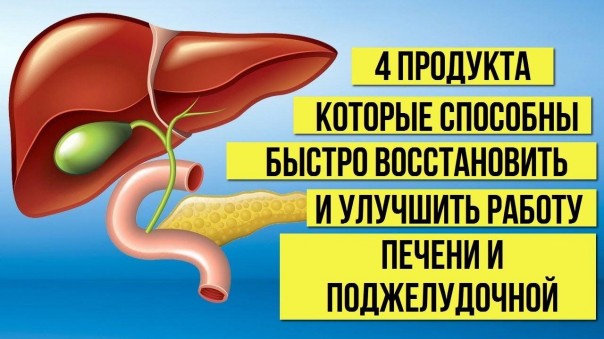 Продукты, которые способны быстро восстановить печень и улучшить работу поджелудочной железы