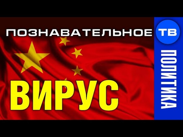 Китайский вирус. Глобальное решение. Артём Войтенков