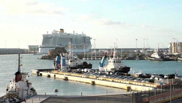 Врачи не нашли коронавирус у туристов, из-за которых заблокировали лайнер