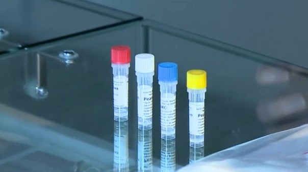 Найдено лекарство, сдерживающее коронавирус | Массовая истерия: фейковые новости распространяются быстрее коронавируса