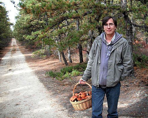 Как в США собирают грибы. И вообще, собирают ли?