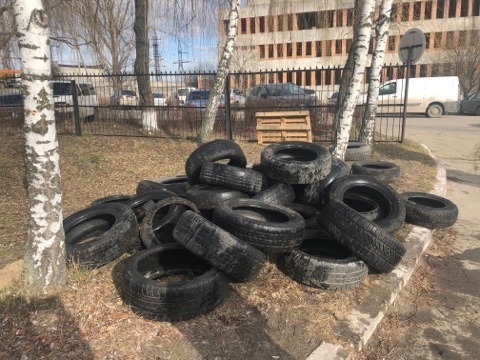 Политолог заявил, что Украина обращена в скотское состояние: скрепы из Бандеры, Голодомора и Соборности оказались бессильными