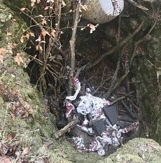 Польша увековечит память о пособниках нацистов из УПА