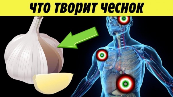 Вот что будет с Вашим организмом, если есть чеснок каждый день
