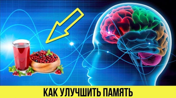 Как улучшить память: Самые простые напитки для улучшения памяти и работы мозга