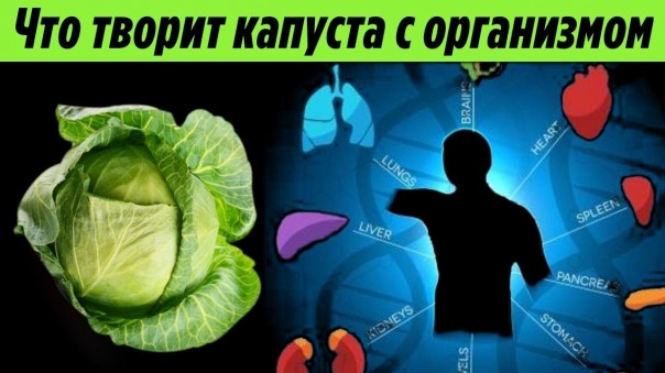 Что будет с организмом, если есть капусту каждый день. Список недугов, которые решает капуста