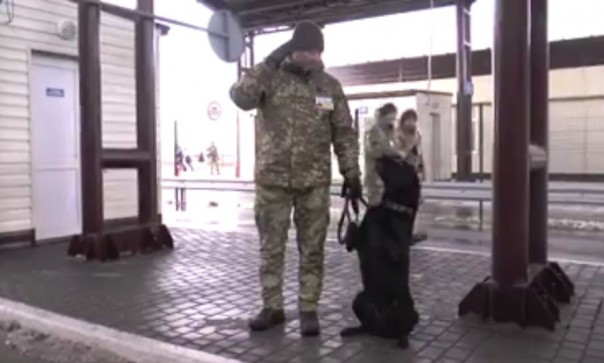 Украинские пограничники научили служебную собаку говорить СУГС