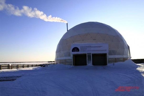 С котом под куполом. В Якутии продолжается уникальный эксперимент
