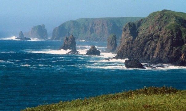 Япония и Курилы – попытка хорошей мины при плохой игре