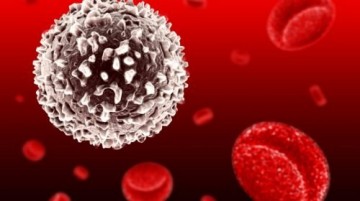 "Коронавирусу и не снилось": доктор Мясников сравнил COVID-19 с другими болезнями