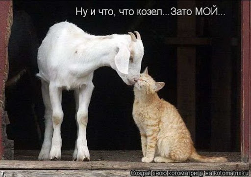 Любовь зла
