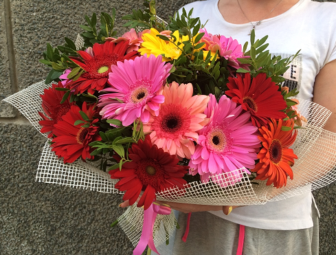 10 интересных фактов про герберы