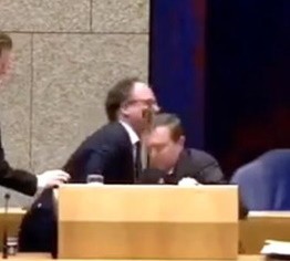 Глава Минздрава Нидерландов упал в обморок во время обсуждения коронавируса