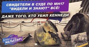 Свидетели в суде по MH17 «видели и знают» ВСЁ! Даже того, кто убил Кеннеди. Александр Малькевич