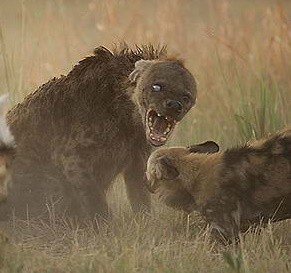 Карантин по-киевски: пассажир выбросил «лишнего» кондуктора автобуса