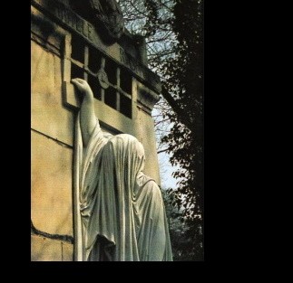 Самые смертоносные пандемии в истории: от Чумы Антонина до Коронавируса