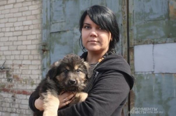 Фабрика живодерства в муниципальном приюте Рязани