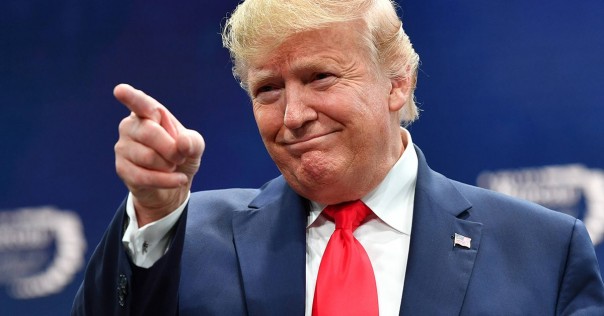 Трамп забрал деньги для защиты Прибалтики на строительство стены с Мексикой