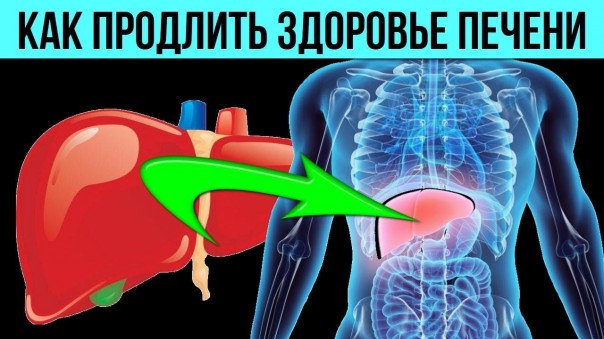 Каши которые очищают печень и восстанавливают её клетки. Как почистить печень от шлаков и токсинов