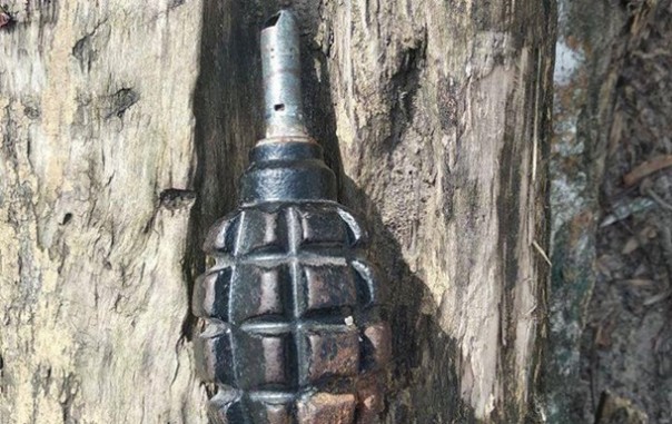 В Днепре дворник сидел с гранатой и распивал алкоголь | В Харьковской области задержали продавца гранат | Священник попался на торговле оружием