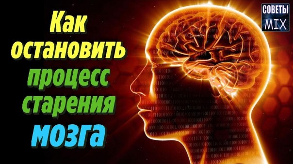 Как легко и просто остановить процесс старения мозга и улучшить память. Советы для здоровья