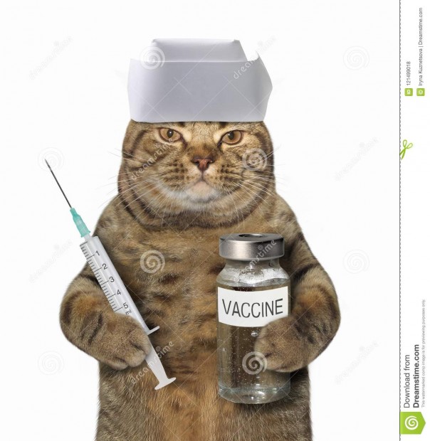 Италия выздоравливает от коронавируса: Первые симптомы