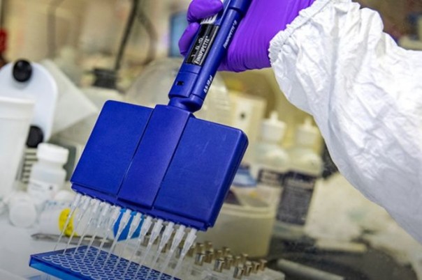 Как в США с помощью ученых Китая создали коронавирус SARS без защиты