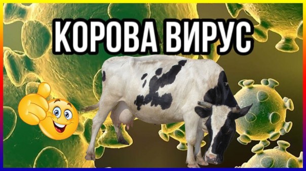 Как в Луганске с коронованным вирусом?