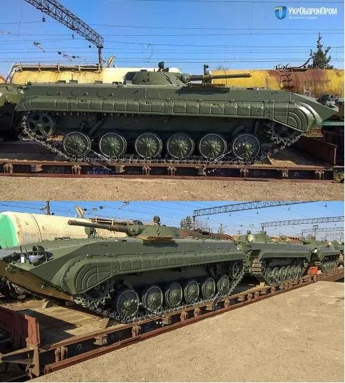 Сушёные тараканы вместо изюма
