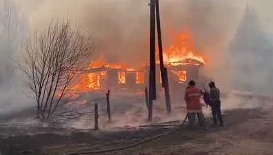 Пожары на Житомирщине: подозревают поджог | Пожар под Чернобылем все еще тушат