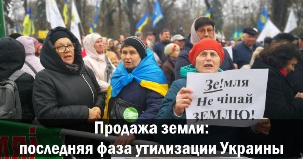 Продажа земли: последняя фаза утилизации Украины. Александр Роджерс