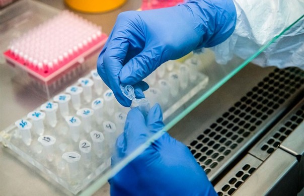 «Новая чума»: Мифы и легенды о COVID-19 — разоблачение