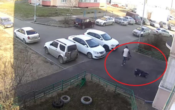 В Казани у пенсионерки отняли тележку с продуктами