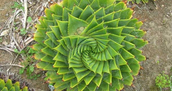 Мартовский обзор 2. oohoo