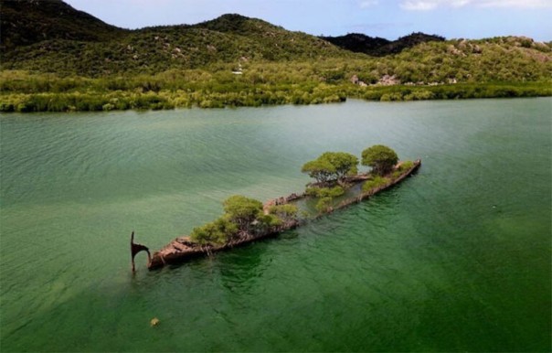 Столетнее судно стало частью природы