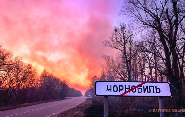 Под Чернобылем горит "Рыжий лес". Пожар подбирается к ядерным отходам