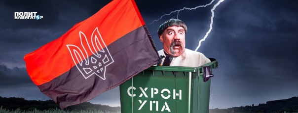 Европарламентарии. Ржевский может не молчать