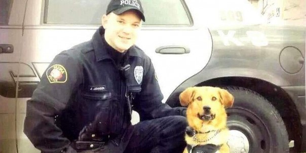 Полицейский пёс-ветеран получил пенсию