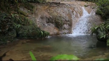 Ущелье Джегош. Краснодарский край. Россия