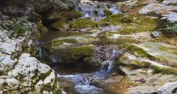 Долина бабочек. Абхазия