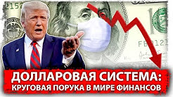 Долларовая система: Круговая порука в мире финансов