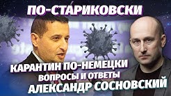 Николай Стариков: карантин по-немецки — вопросы и ответы