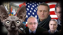 "Можем повторить!", или Контрольный Выстрел. Кот Костян