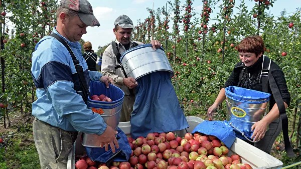 "Не читали, что подписали". Что украинцы говорят о евроинтеграции сейчас