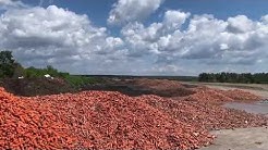 Украинские фермеры тоннами выбрасывают невостребованную продукцию