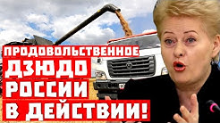 Страшный удар по шпротам! Продовольственное дзюдо России в действии!