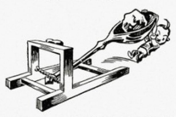 Продажа Родины оптом и в розницу