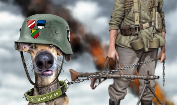 Прибалтийский нацизм, или Академия мракобесия