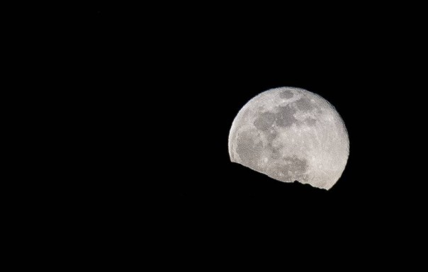 NASA назвало некорректными сообщения о нежелании США включать РФ в соглашение по Луне